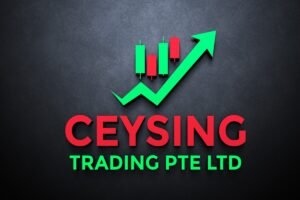 Logo Ceysing